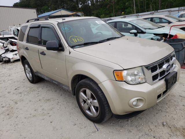 FORD ESCAPE XLT 2010 1fmcu0dgxakb61157