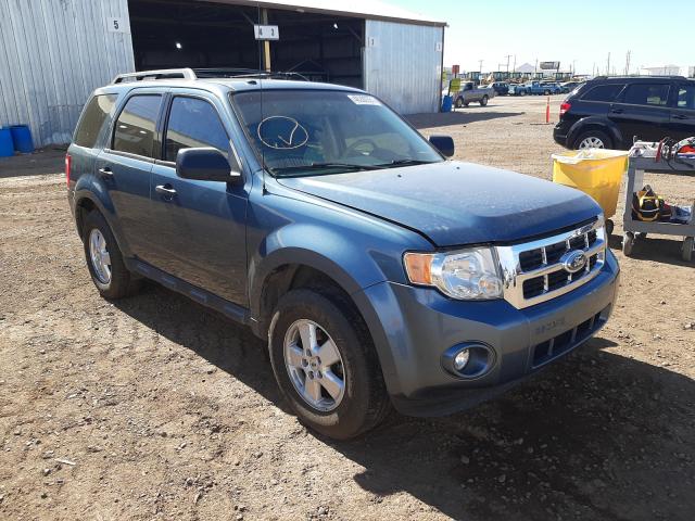 FORD ESCAPE XLT 2010 1fmcu0dgxakb66651