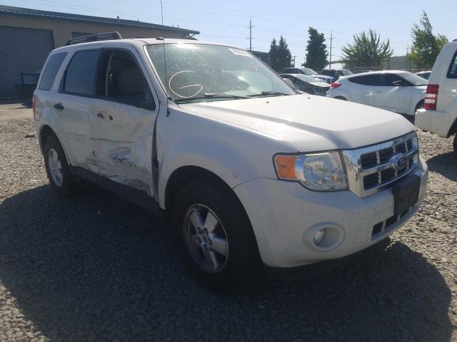 FORD ESCAPE XLT 2010 1fmcu0dgxakd46731