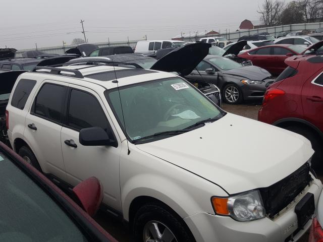 FORD ESCAPE XLT 2010 1fmcu0dgxakd47801