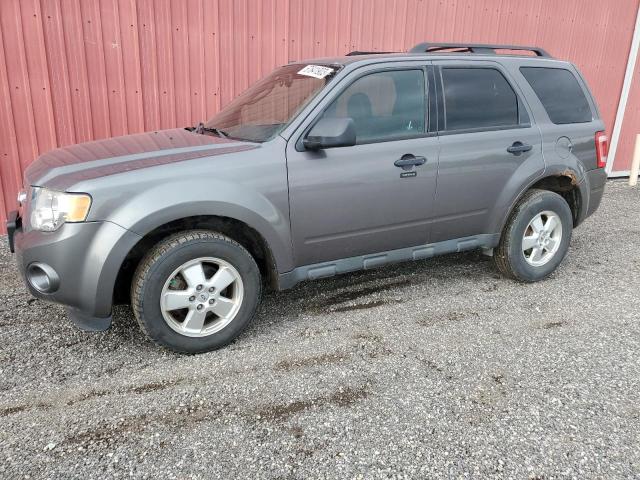 FORD ESCAPE XLT 2011 1fmcu0dgxbka70858