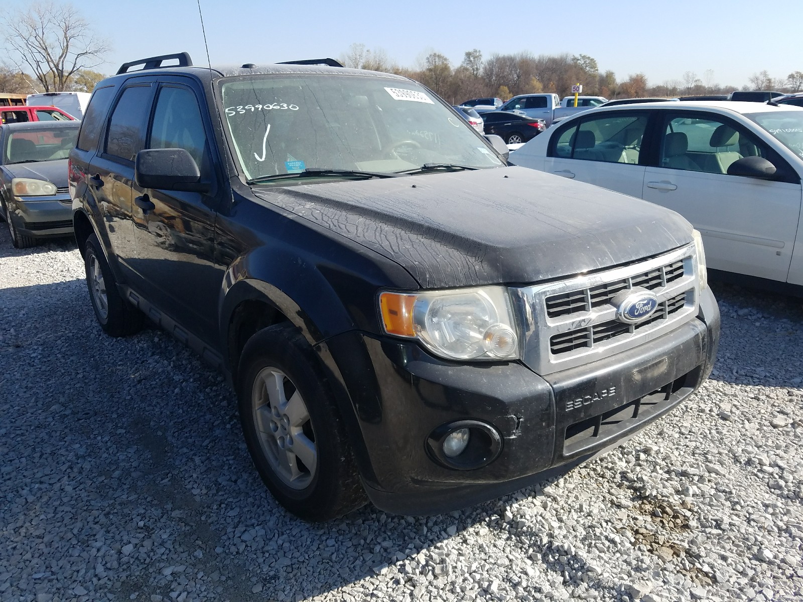 FORD ESCAPE XLT 2011 1fmcu0dgxbka98661