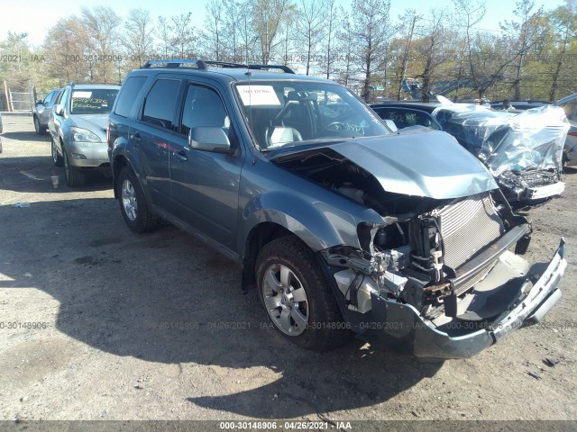 FORD ESCAPE 2010 1fmcu0e71akd30366