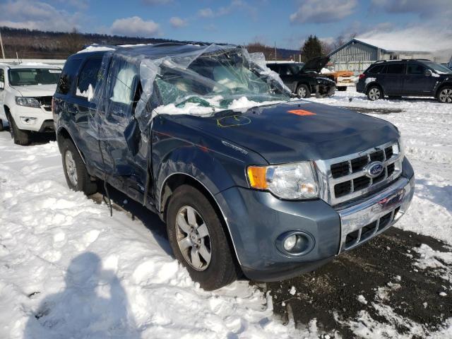 FORD ESCAPE LIM 2010 1fmcu0e79akc07401