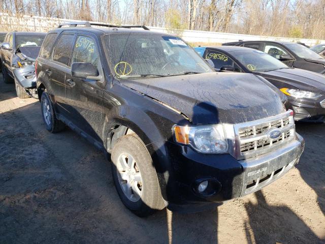 FORD ESCAPE LIM 2010 1fmcu0e7xaka05389