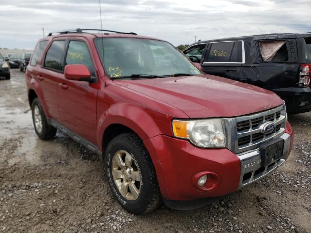 FORD ESCAPE LIM 2010 1fmcu0eg0akb89127