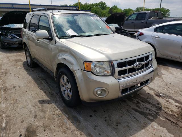 FORD ESCAPE LIM 2010 1fmcu0eg0akb89239