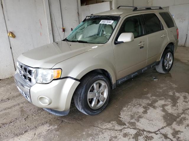 FORD ESCAPE 2010 1fmcu0eg0akd25823