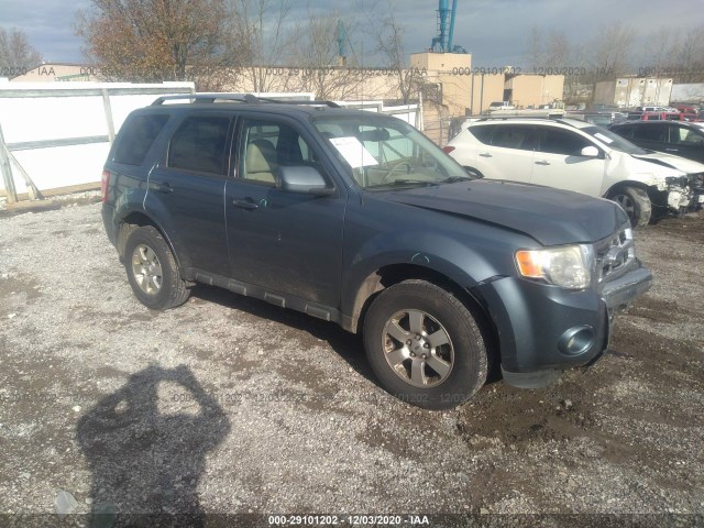 FORD ESCAPE 2011 1fmcu0eg1bkb22893