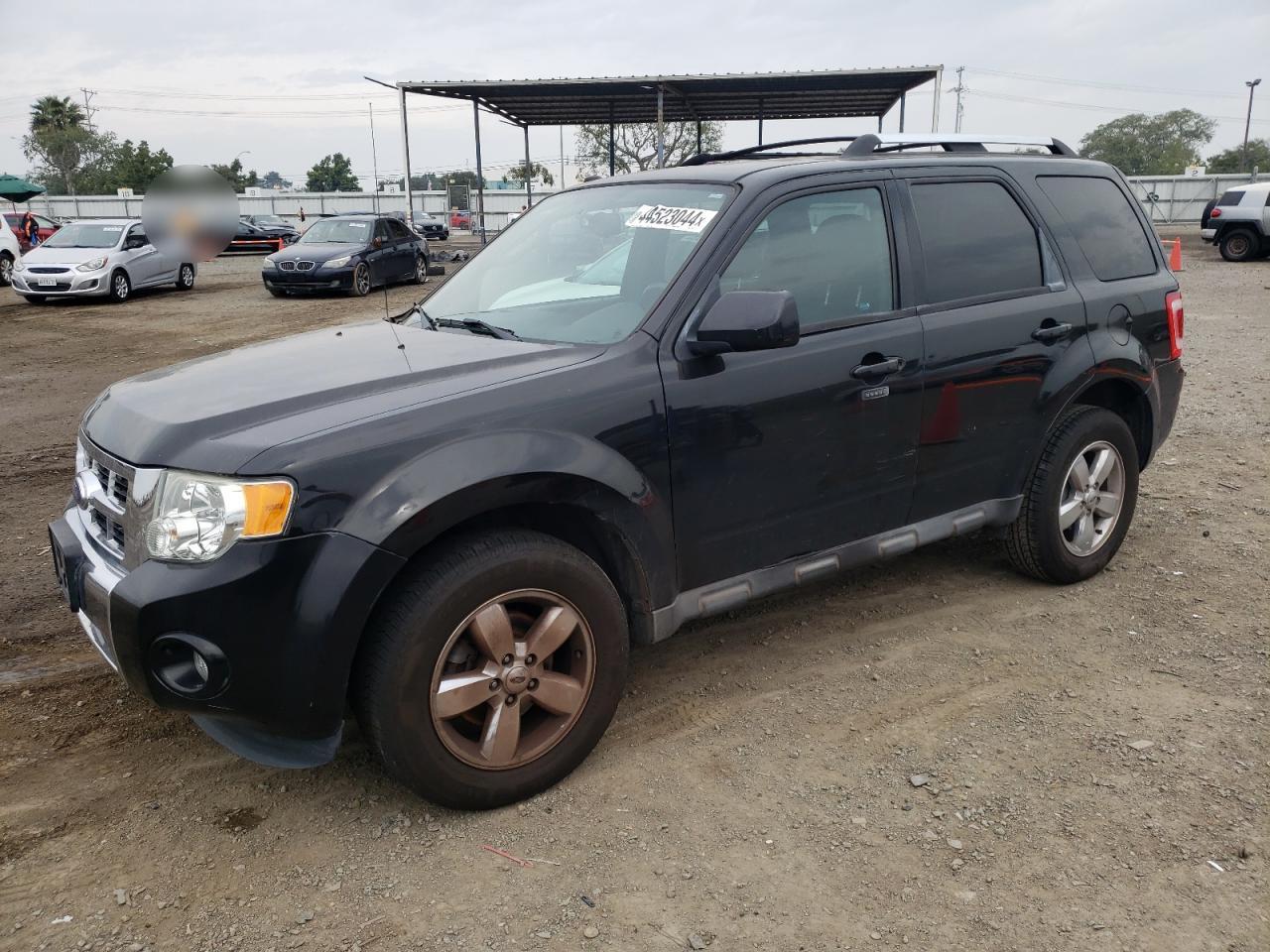 FORD ESCAPE 2011 1fmcu0eg1bkc10911