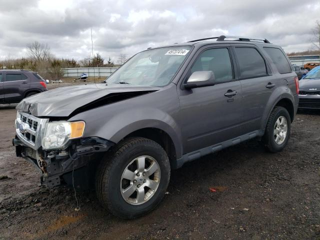 FORD ESCAPE 2011 1fmcu0eg1bkc16949