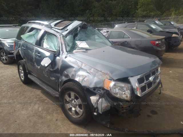 FORD ESCAPE 2011 1fmcu0eg1bkc40264