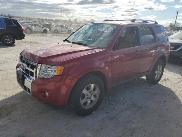 FORD ESCAPE LIM 2011 1fmcu0eg2bkb24619