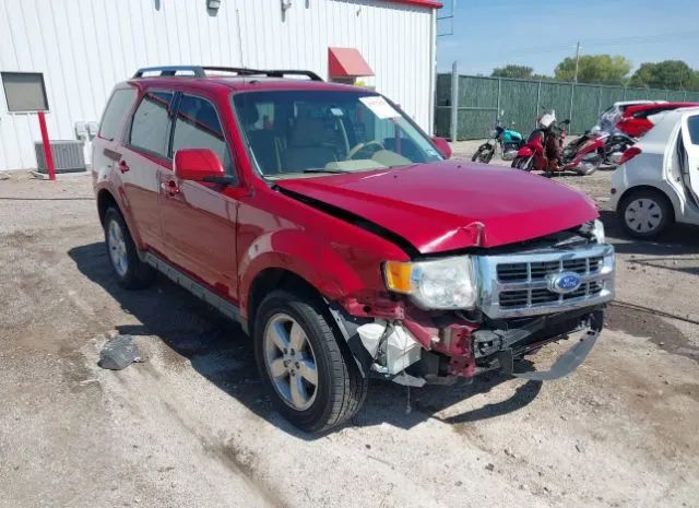 FORD ESCAPE 2011 1fmcu0eg3bkc29461