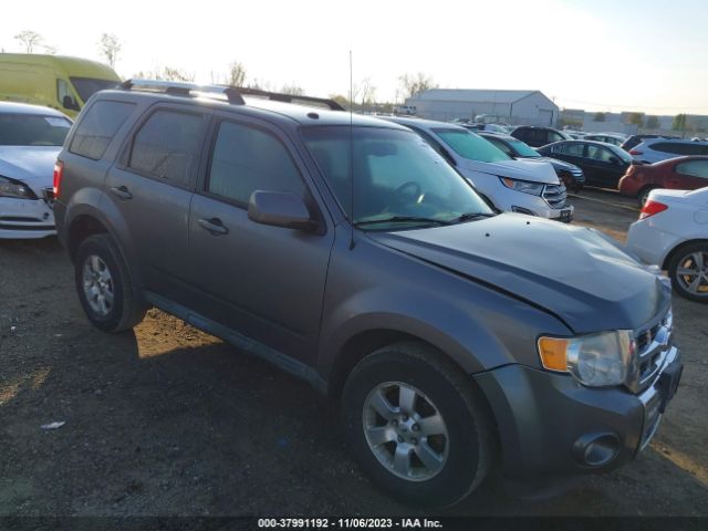 FORD ESCAPE 2011 1fmcu0eg7bka22636