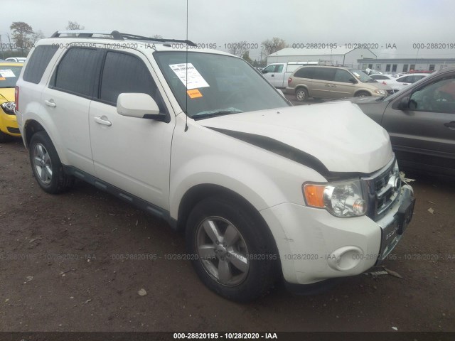 FORD ESCAPE 2010 1fmcu0eg8akd25794