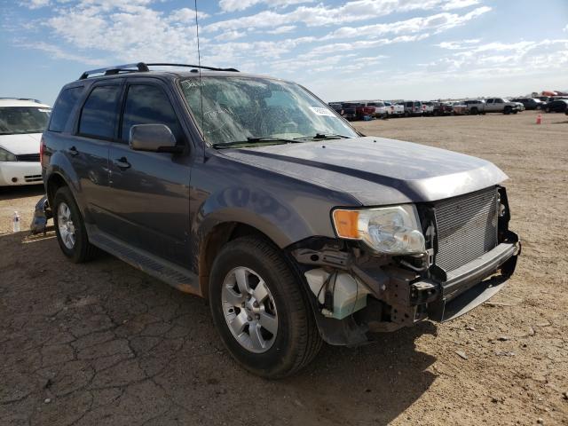 FORD ESCAPE LIM 2011 1fmcu0eg8bka12567