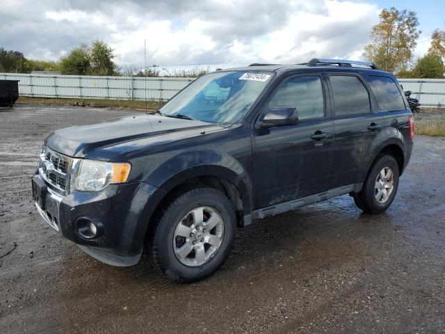 FORD ESCAPE LIM 2010 1fmcu0eg9akd18773