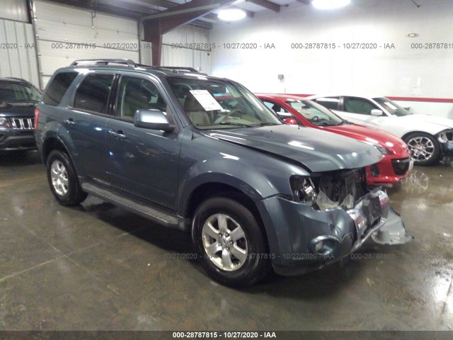 FORD ESCAPE 2010 1fmcu0egxakb60783