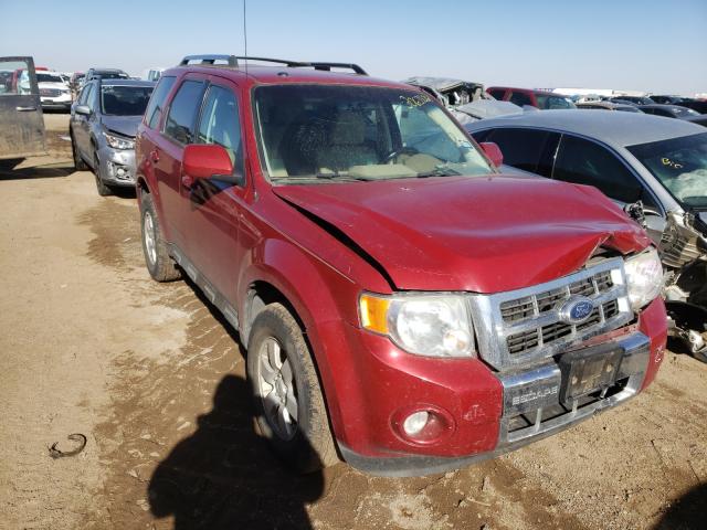 FORD ESCAPE LIM 2010 1fmcu0egxakc79546