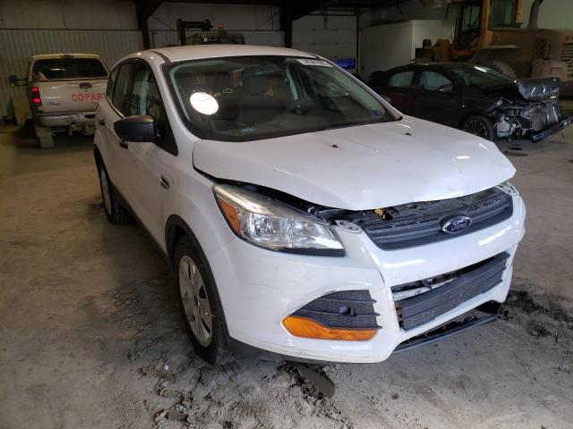 FORD ESCAPE S 2014 1fmcu0f71eua81155