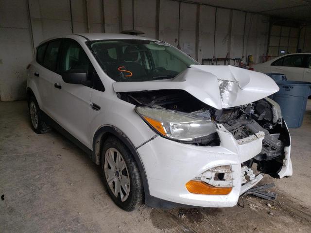 FORD ESCAPE S 2014 1fmcu0f72euc80568