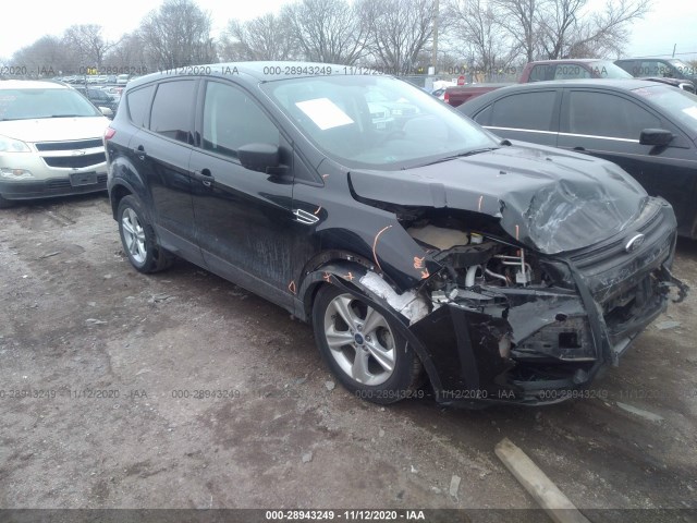 FORD ESCAPE 2014 1fmcu0f73eud02268