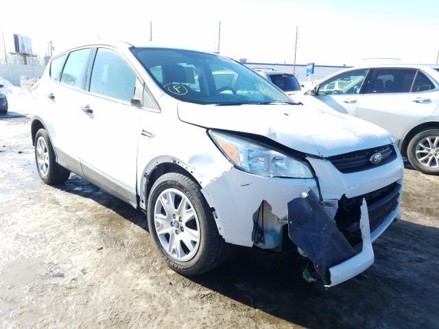 FORD ESCAPE S 2014 1fmcu0f74eub70413