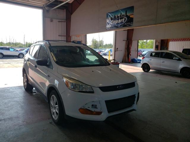 FORD ESCAPE S 2014 1fmcu0f77eub50642