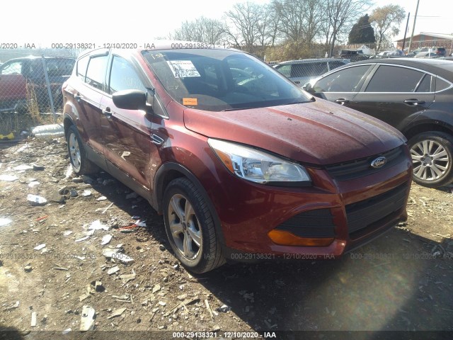 FORD ESCAPE 2014 1fmcu0f77eue33672