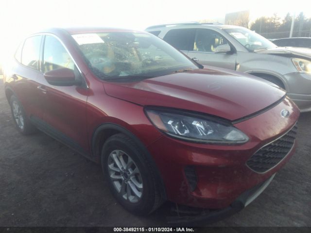 FORD ESCAPE 2020 1fmcu0g61luc48990