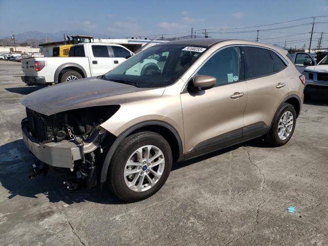 FORD ESCAPE 2020 1fmcu0g62luc36184