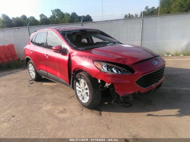 FORD ESCAPE 2020 1fmcu0g69lub22229