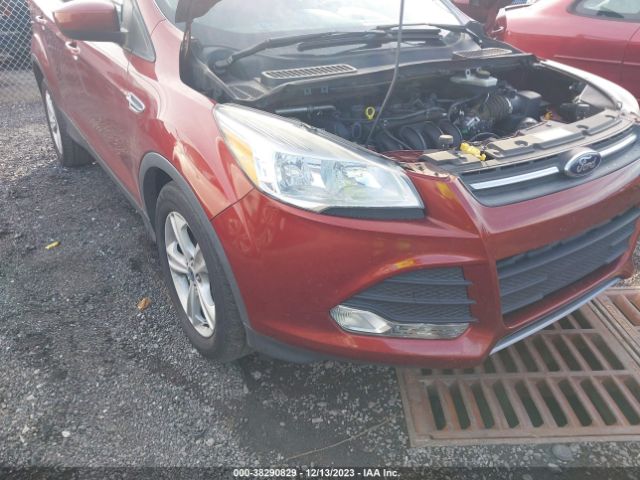 FORD ESCAPE 2015 1fmcu0g70fua58059