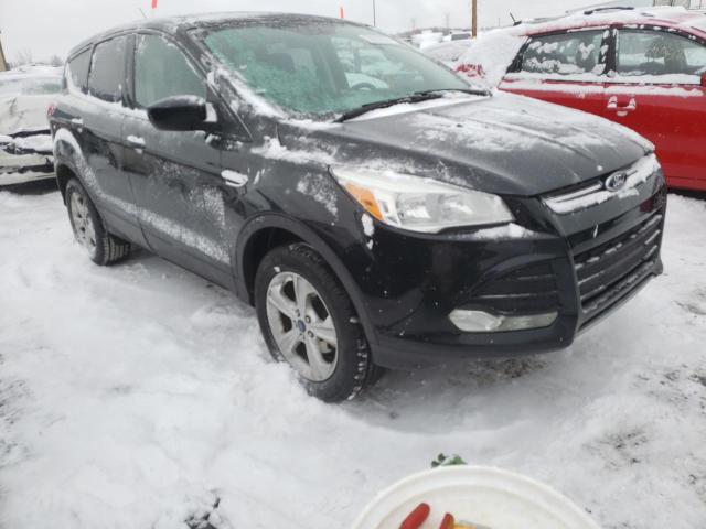 FORD ESCAPE SE 2015 1fmcu0g70fub91906