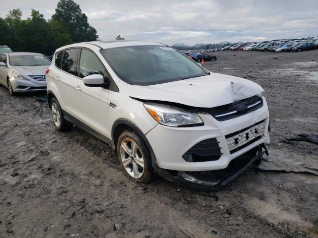 FORD ESCAPE 2014 1fmcu0g71fua38614