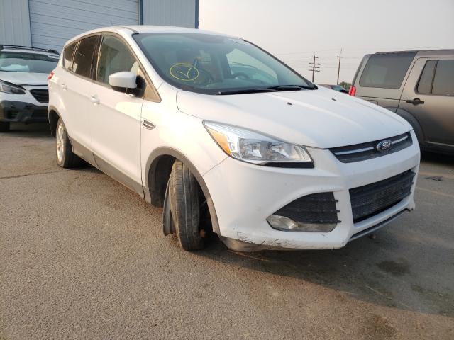 FORD NULL 2016 1fmcu0g79guc88491