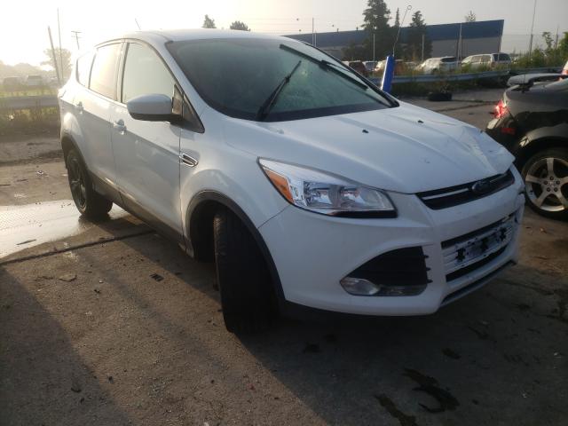 FORD ESCAPE SE 2014 1fmcu0g90eua06561