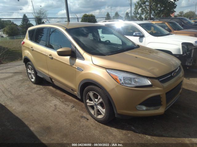 FORD ESCAPE 2014 1fmcu0g90eud50102