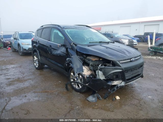 FORD ESCAPE 2014 1fmcu0g91euc44774