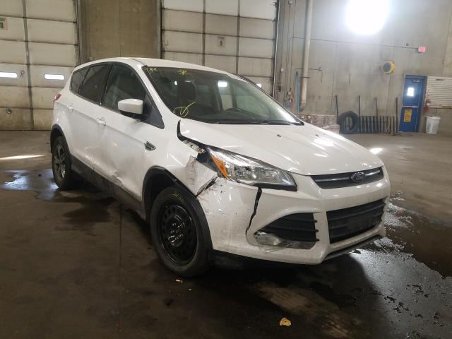 FORD ESCAPE SE 2014 1fmcu0g92euc46159