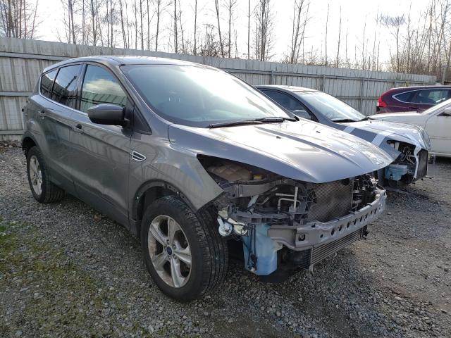 FORD ESCAPE SE 2014 1fmcu0g92eue27701