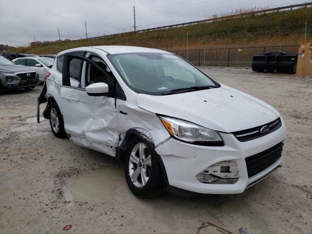 FORD ESCAPE SE 2014 1fmcu0g92eue45888