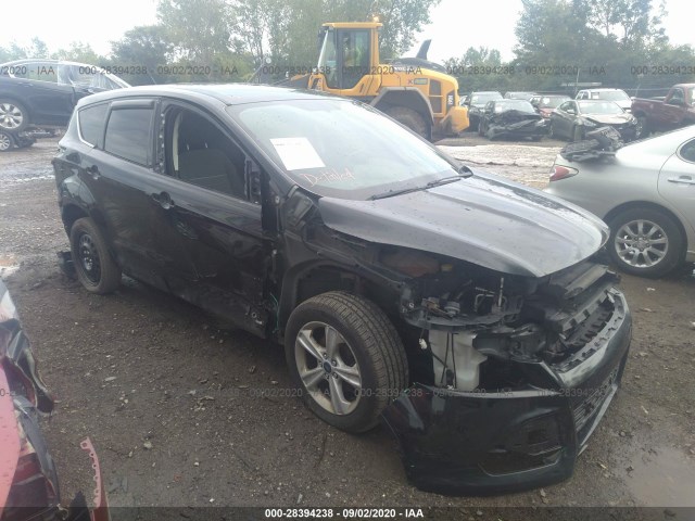 FORD ESCAPE 2012 1fmcu0g93duc12469