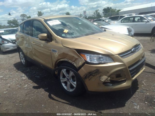 FORD ESCAPE 2014 1fmcu0g93euc28981