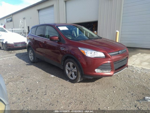 FORD ESCAPE 2014 1fmcu0g93euc60815