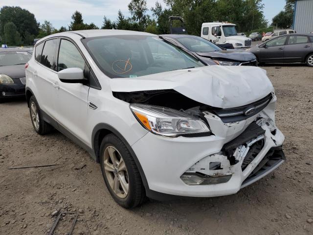 FORD ESCAPE SE 2014 1fmcu0g93eud52278