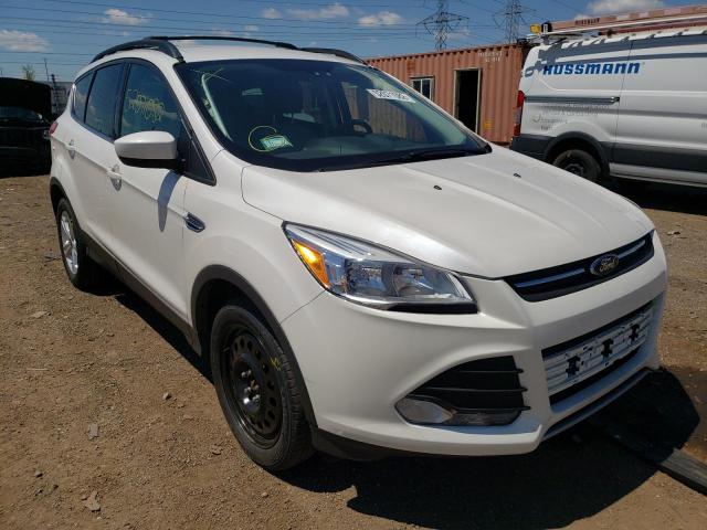 FORD ESCAPE SE 2014 1fmcu0g93eue06405