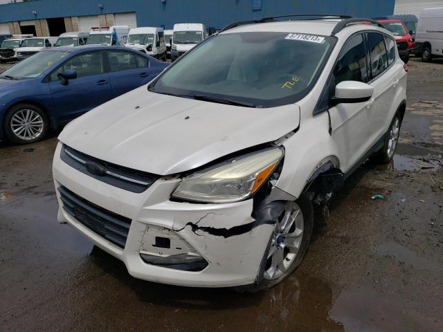 FORD ESCAPE SE 2013 1fmcu0g94duc46436