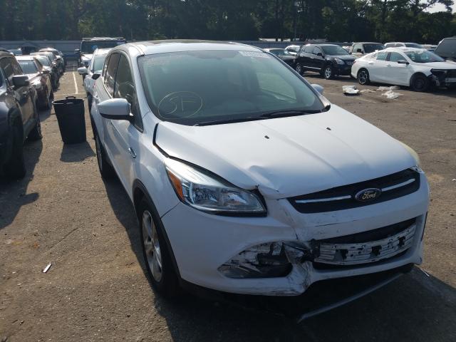 FORD ESCAPE SE 2014 1fmcu0g94eua06157